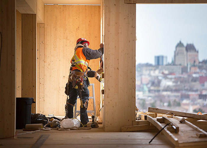 Display Image for Course: Design and Construction of Taller Wood