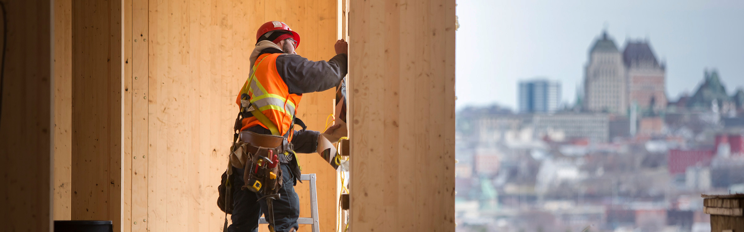 Image for the course: Design and Construction of Taller Wood