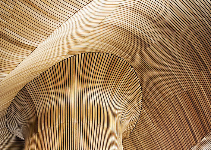 Display Image for Course: Sustainability and Carbon Reduction