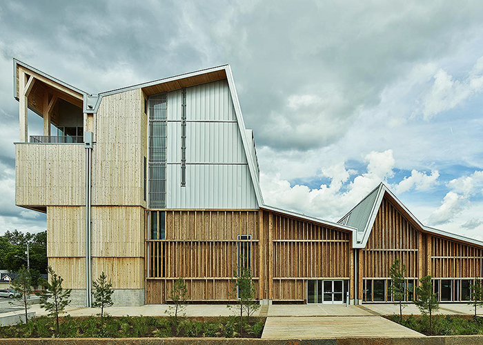 Display Image for Course: Timber Triumph