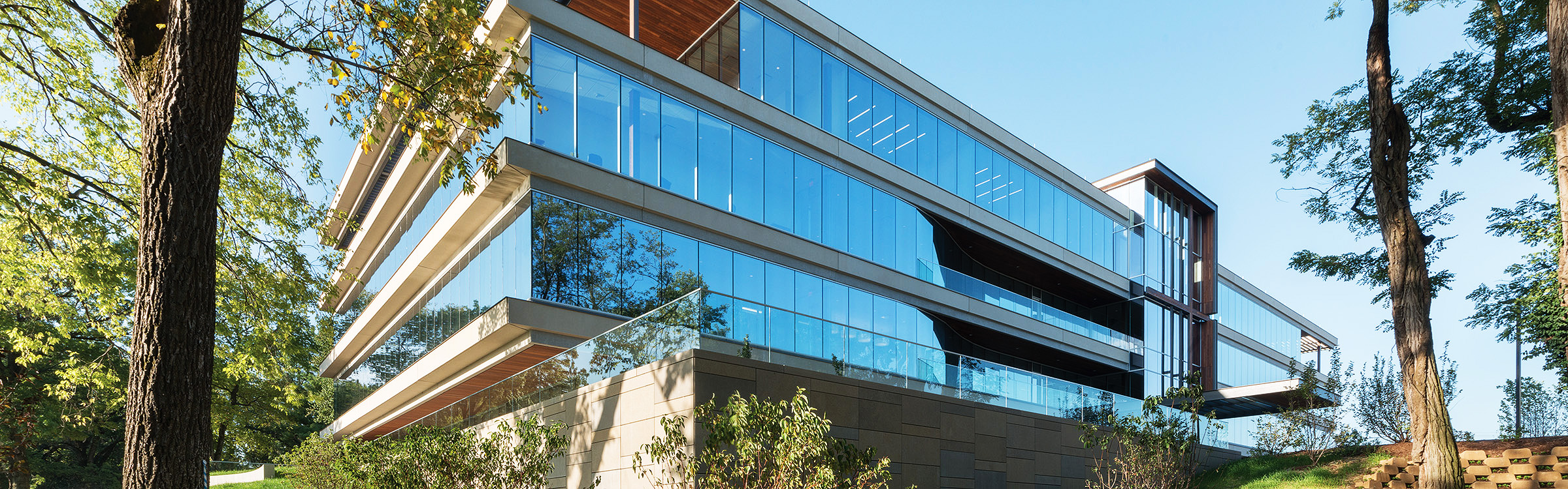 Image for the course: Shelter