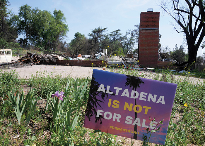 Display Image for Course: L.A. Fires: One Year Later