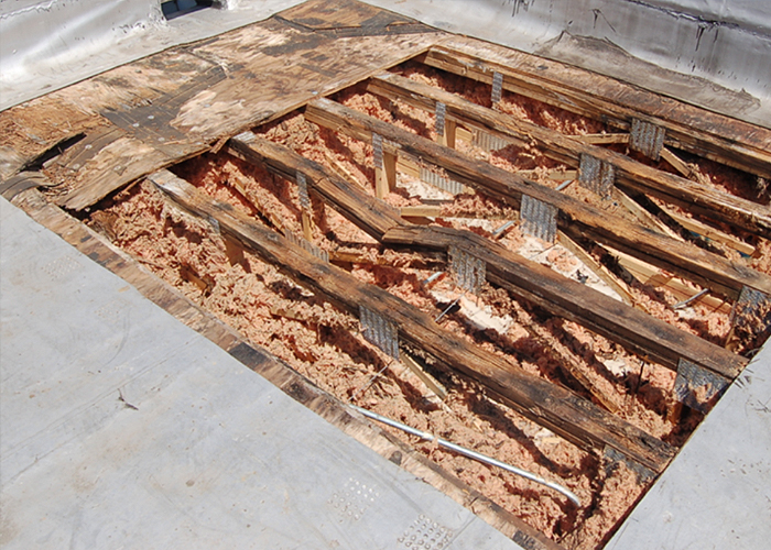 Display Image for Course: Building Science and Life Safety in Wood Framed Construction