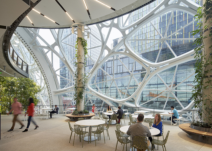 Display Image for Course: The Architect’s Structural Playbook