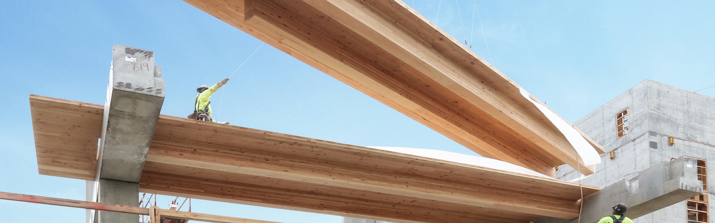Image for the course: Creating Beautiful, Accessible, and Equitable Spaces with Mass Timber