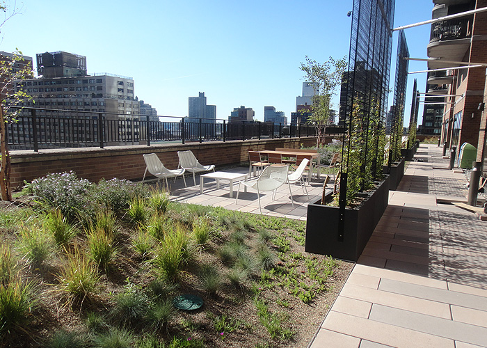 Image for the course: Reimagine the Outdoor Experience: Understanding Rooftop Deck Systems