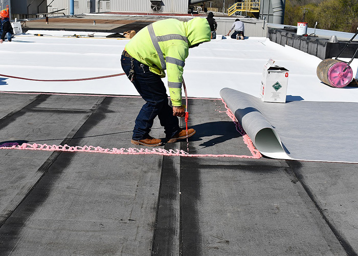 Display Image for Course: Ins and Outs of Reroofing