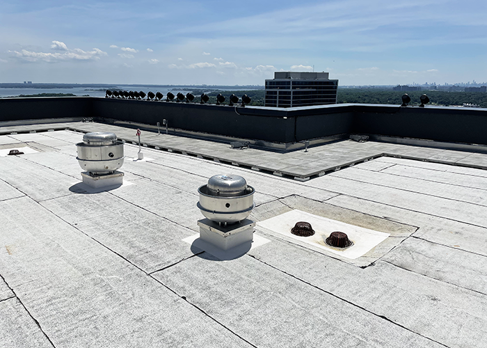 Display Image for Course: Parapet Perplexities Solved