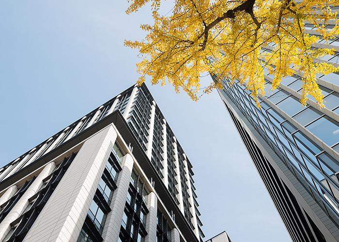 Image for the course: Future-Proofing Buildings with Whole-Building AWBs