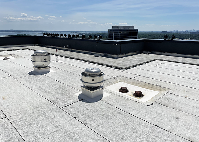 Display Image for Course: High-Performance Waterproofing Solutions