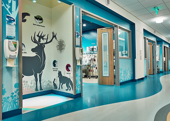 Display Image for Course: Specifying Art to Support Occupant Health and Well-Being