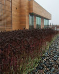 Green Roof Solutions