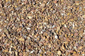 Exclusive Arizona Brown Decorative Rock