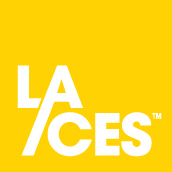 icon_laces_color-logo