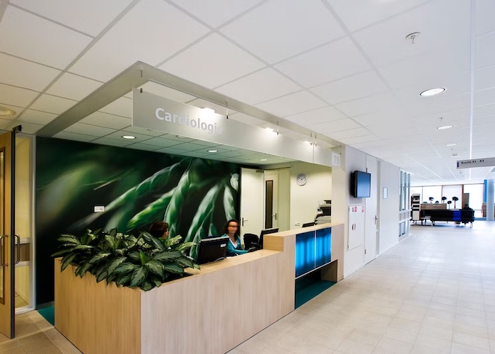 Display Image for Course: Fostering Health Indoors: Design Strategies for Healthcare Environments